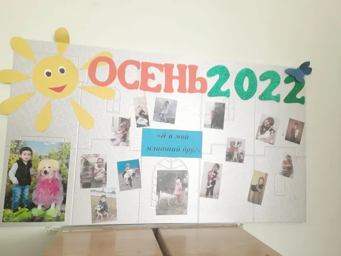 IMG-20220929-WA0095